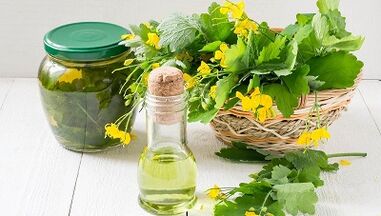 Celandine decoction to treat nail fungus