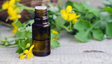 Celandine juice to treat nail fungus